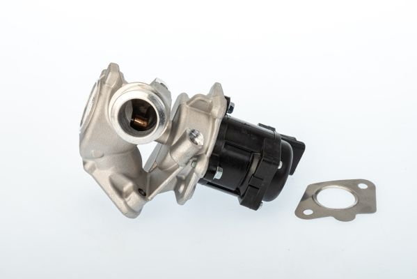 BorgWarner 711020D EGR Valve
