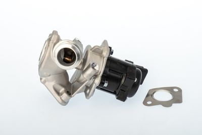 EGR Valve BorgWarner 711020D