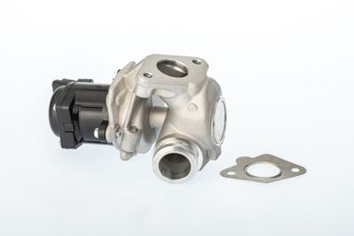 EGR Valve BorgWarner 711021D