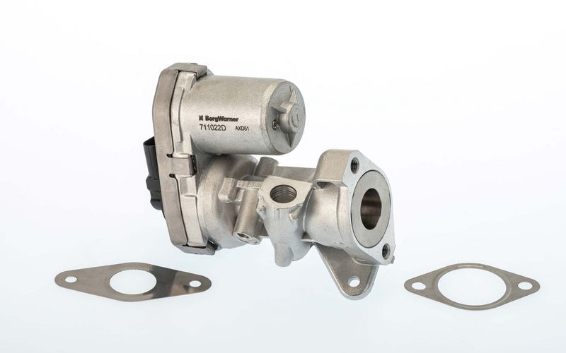 BorgWarner 711022D EGR Valve