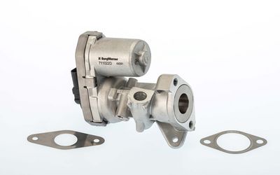 EGR Valve BorgWarner 711022D