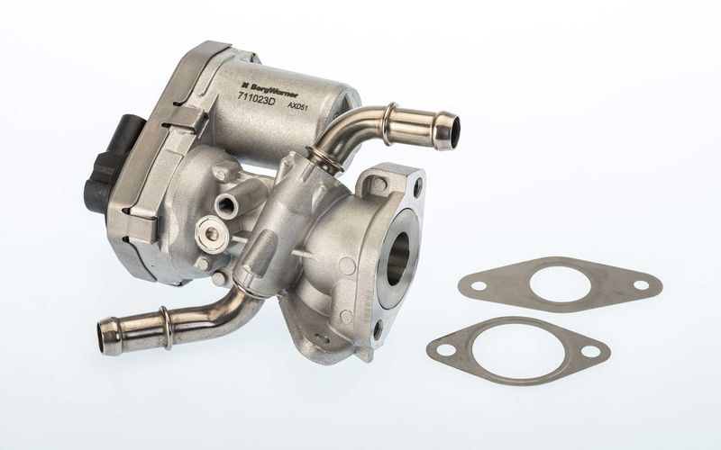 BorgWarner 711023D EGR Valve