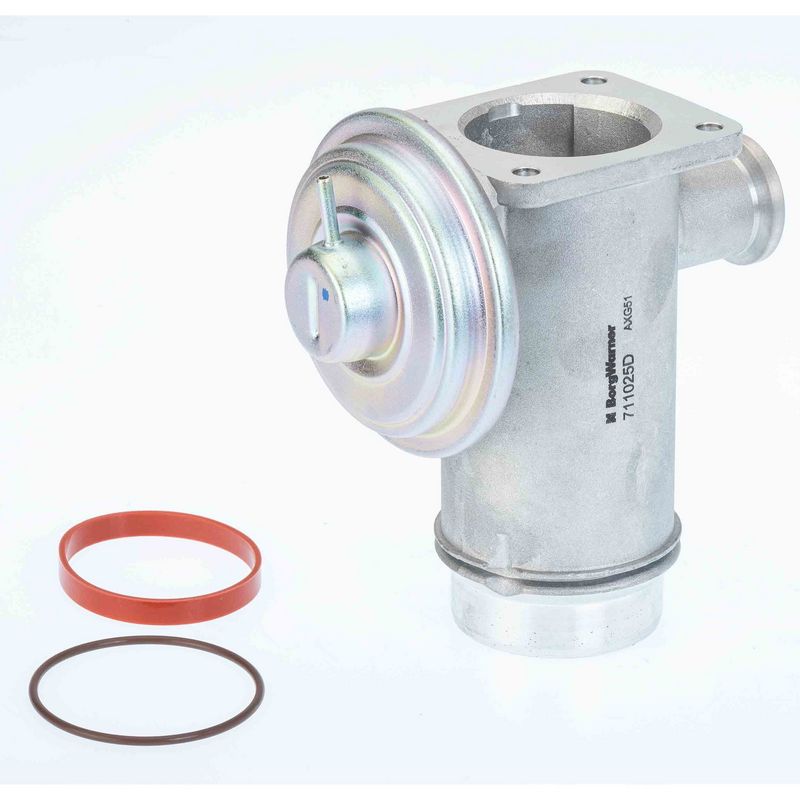 BorgWarner 711025D EGR Valve