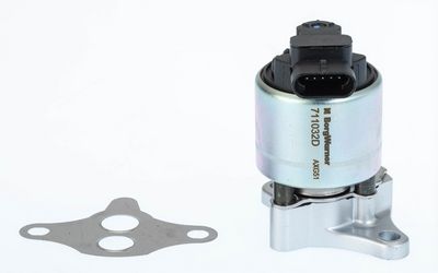 EGR Valve BorgWarner 711032D