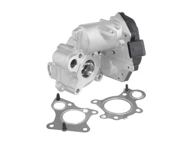 EGR Valve BorgWarner 712019D