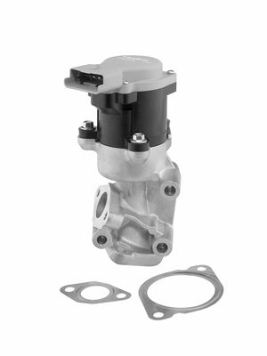 EGR Valve BorgWarner 712057D