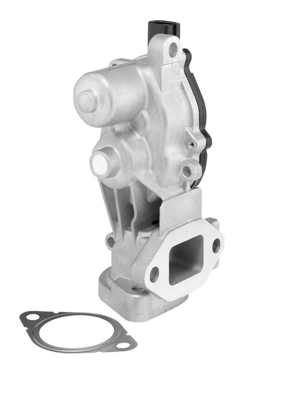 BorgWarner 712074D EGR Valve