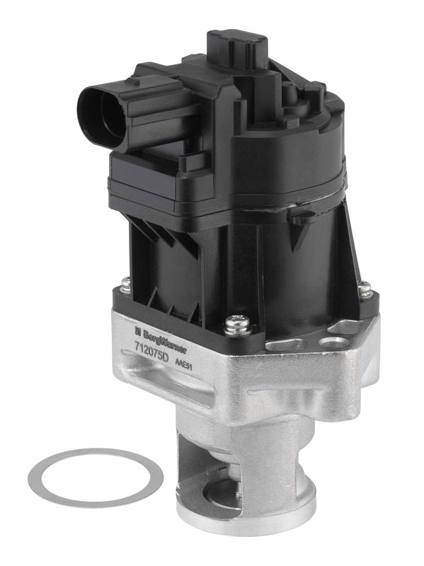 BorgWarner 712075D EGR Valve