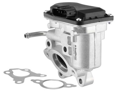 EGR Valve BorgWarner 712087D