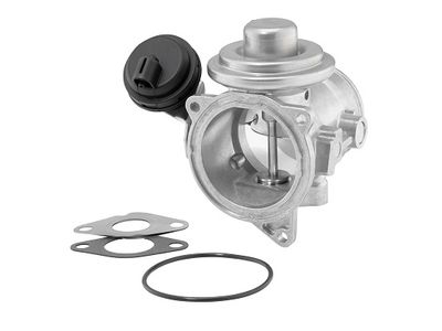 EGR Valve BorgWarner 7187D