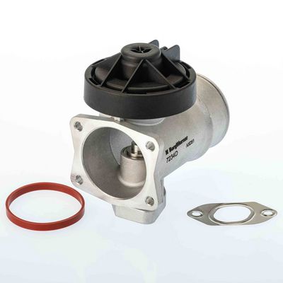 EGR Valve BorgWarner 7234D