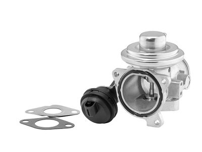 EGR Valve BorgWarner 7241D