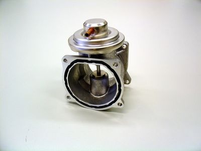 EGR Valve BorgWarner 7268D