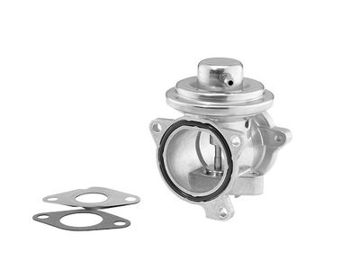 EGR Valve BorgWarner 7271D/1