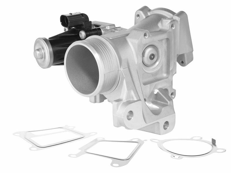 BorgWarner 729005D EGR Valve