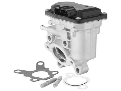 EGR Valve BorgWarner 729015D