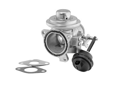 EGR Valve BorgWarner 7293D