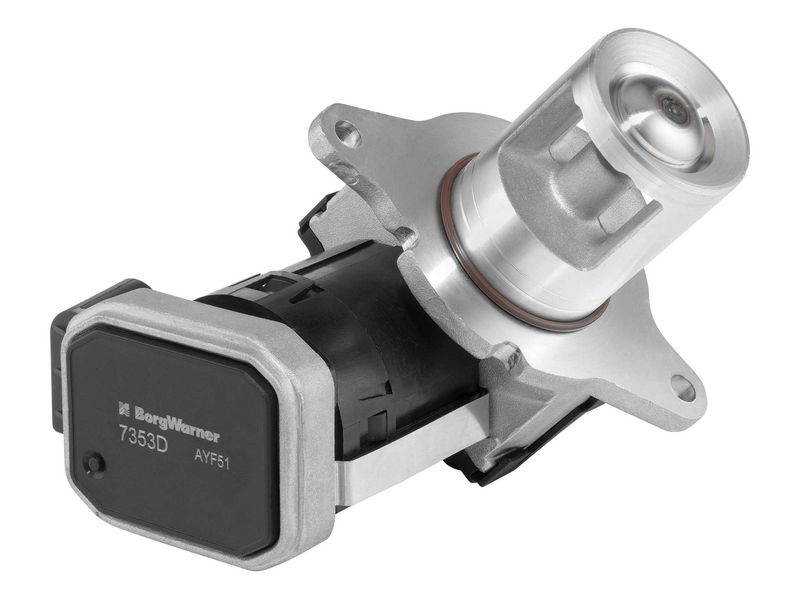 BorgWarner 7353D EGR Valve