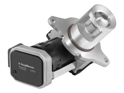EGR Valve BorgWarner 7353D
