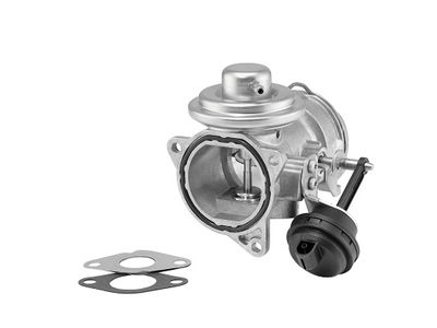 EGR Valve BorgWarner 7371D