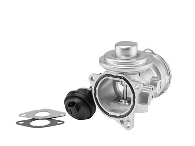 EGR Valve BorgWarner 7372D