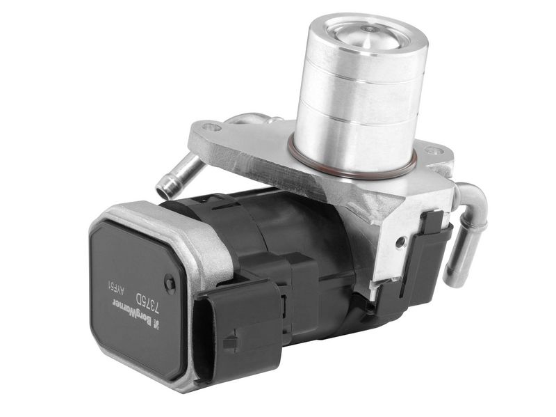 BorgWarner 7375D EGR Valve