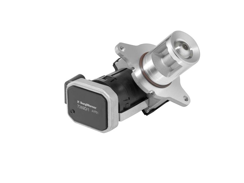 BorgWarner 7389D/1 EGR Valve