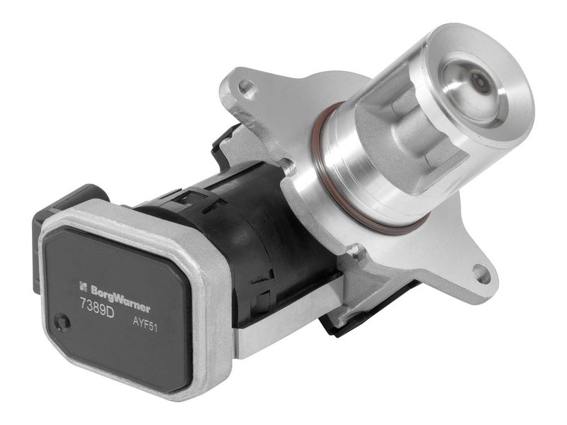 BorgWarner 7389D EGR Valve