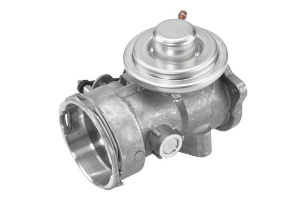 BorgWarner 7451D EGR Valve