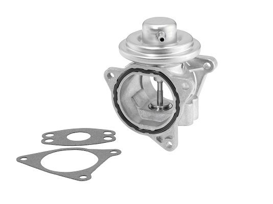 BorgWarner 7496D EGR Valve
