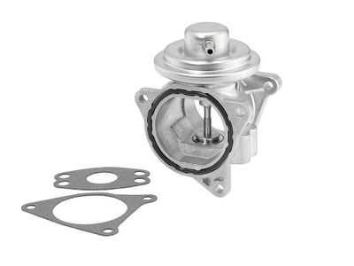 EGR Valve BorgWarner 7496D