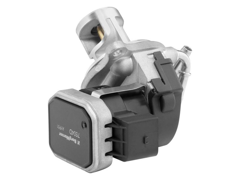 BorgWarner 7504D EGR Valve
