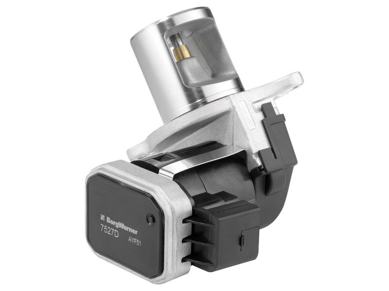 BorgWarner 7527D EGR Valve