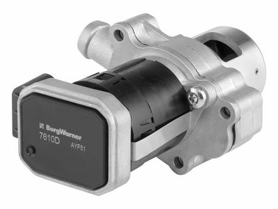 EGR Valve BorgWarner 7610D