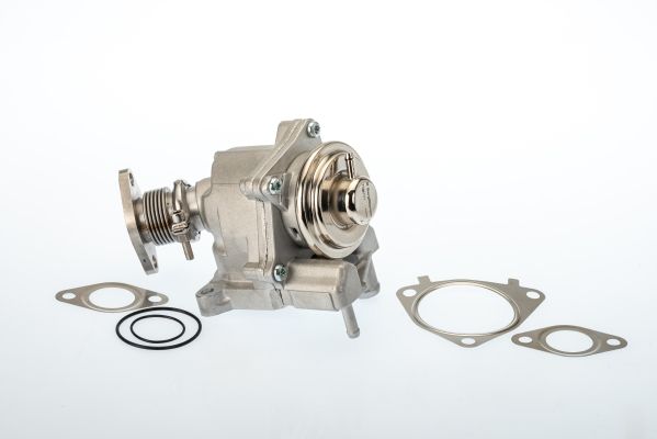 BorgWarner 7631D EGR Valve