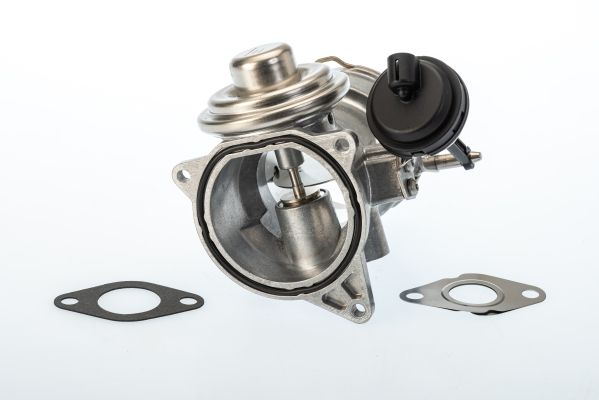 BorgWarner 7650D EGR Valve
