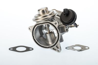 EGR Valve BorgWarner 7650D