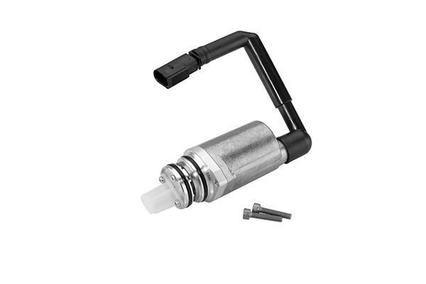 BorgWarner DS118574 Pump, multi-plate clutch (all-wheel drive)