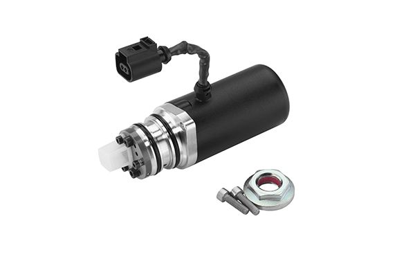 BorgWarner DS118589 Pump, multi-plate clutch (all-wheel drive)