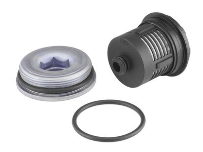 Hydraulic Filter, multi-plate clutch (all-wheel drive) BorgWarner DS120456