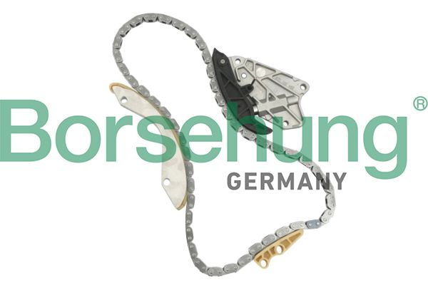 Borsehung B10206 Chain Kit, oil pump drive
