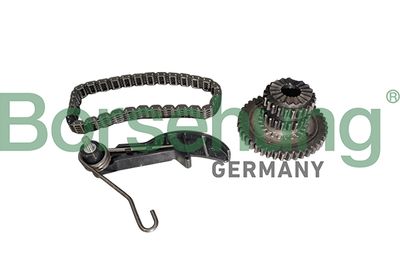 Chain Kit, oil pump drive Borsehung B10218