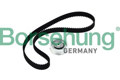 Timing Belt Kit Borsehung B10219