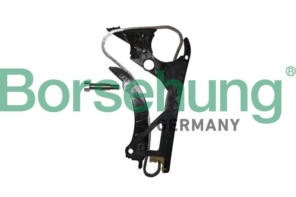Borsehung B10225 Timing Chain Kit