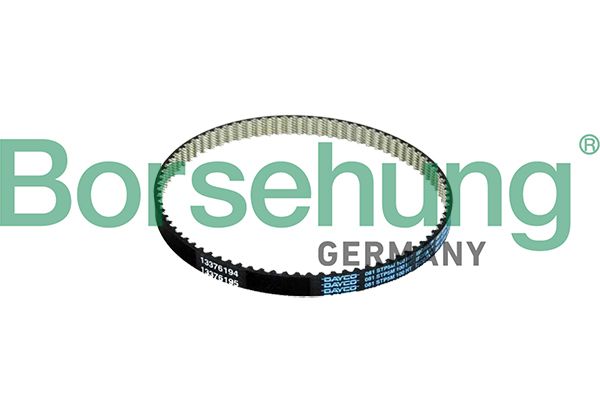 Borsehung B10234 V-Belt