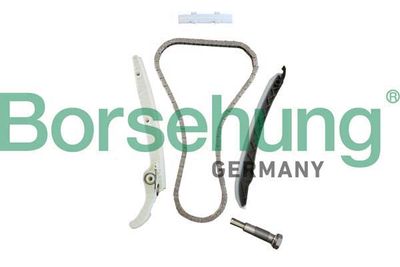 Timing Chain Kit Borsehung B10237