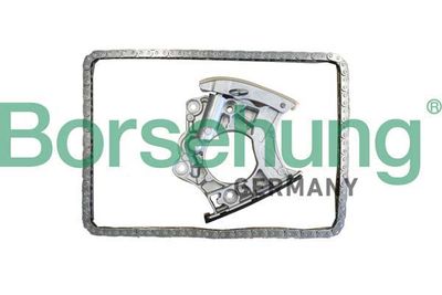 Timing Chain Kit Borsehung B10244