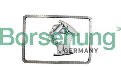 Timing Chain Kit Borsehung B10245