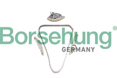 Timing Chain Kit Borsehung B10246