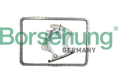 Timing Chain Kit Borsehung B10250